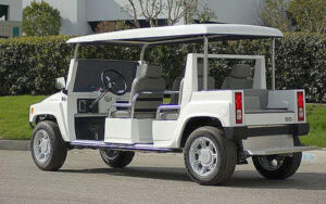 affordable golf cart rental, golf cart rent cabo san lucas