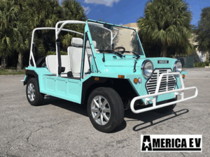 affordable golf cart rental, golf cart rent cabo san lucas