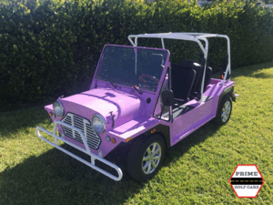 affordable golf cart rental, golf cart rent cabo san lucas