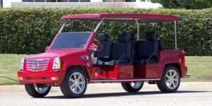 affordable golf cart rental, golf cart rent cabo san lucas