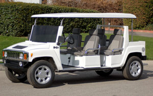 affordable golf cart rental, golf cart rent cabo san lucas