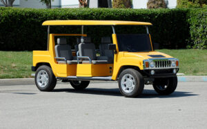 affordable golf cart rental, golf cart rent cabo san lucas