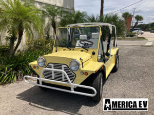affordable golf cart rental, golf cart rent cabo san lucas